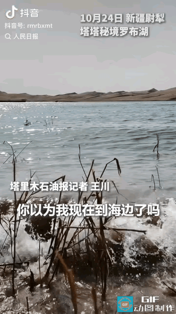 火上人民日报！新疆大漠里藏着一处震撼人心的风景。镜头里碧波翻涌，一眼望去，像辽阔