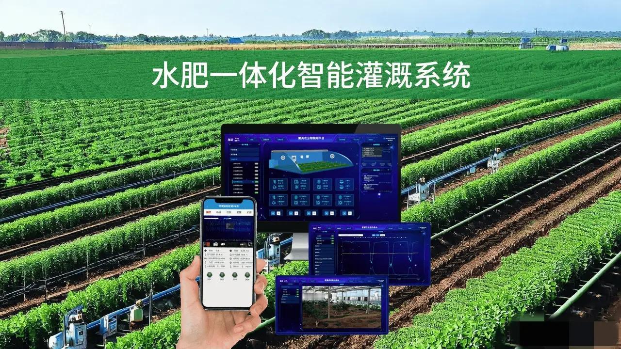 不得不说这世界算力格局：

第一梯队（领跑者）：美国、中国
​
第二梯队（追赶者