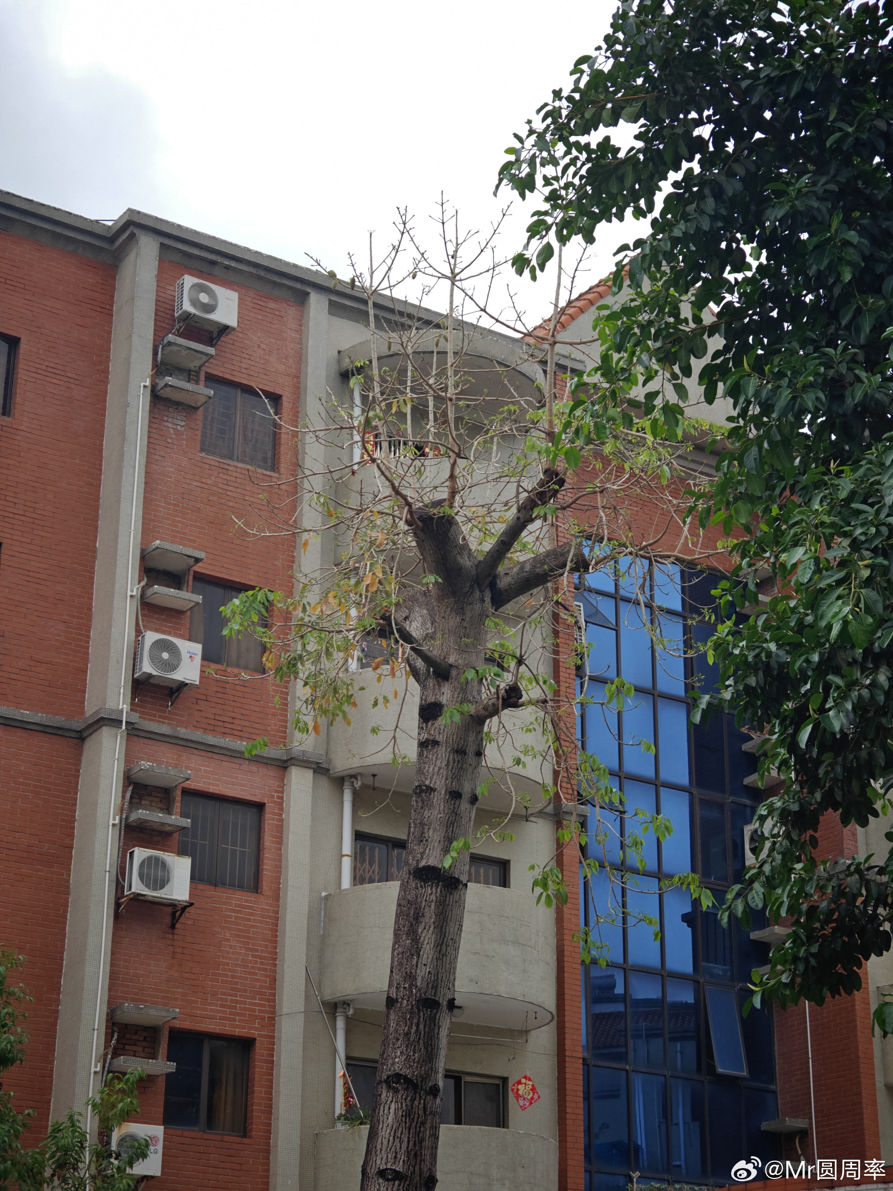 破旧迎新生我的日常plog