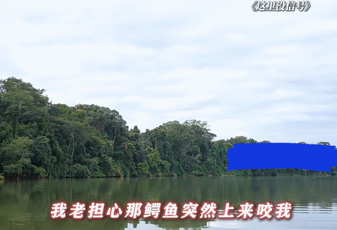 胡先煦 我有一点点无语不是陈博士这个脑洞怎么这么搞笑只要录着像，鳄鱼就会定格在你