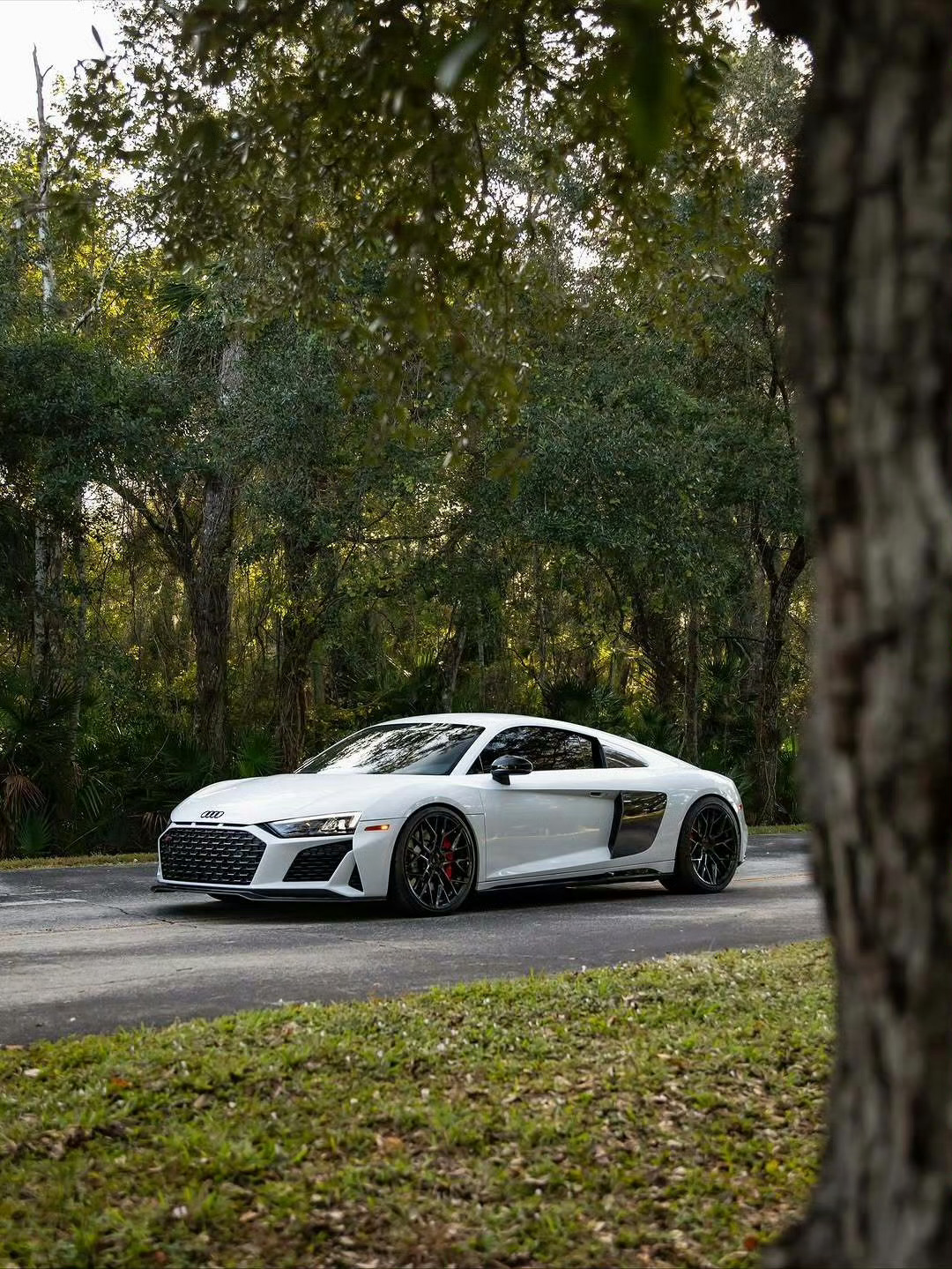 奥迪 R8 V10 Coupé RWD Performance