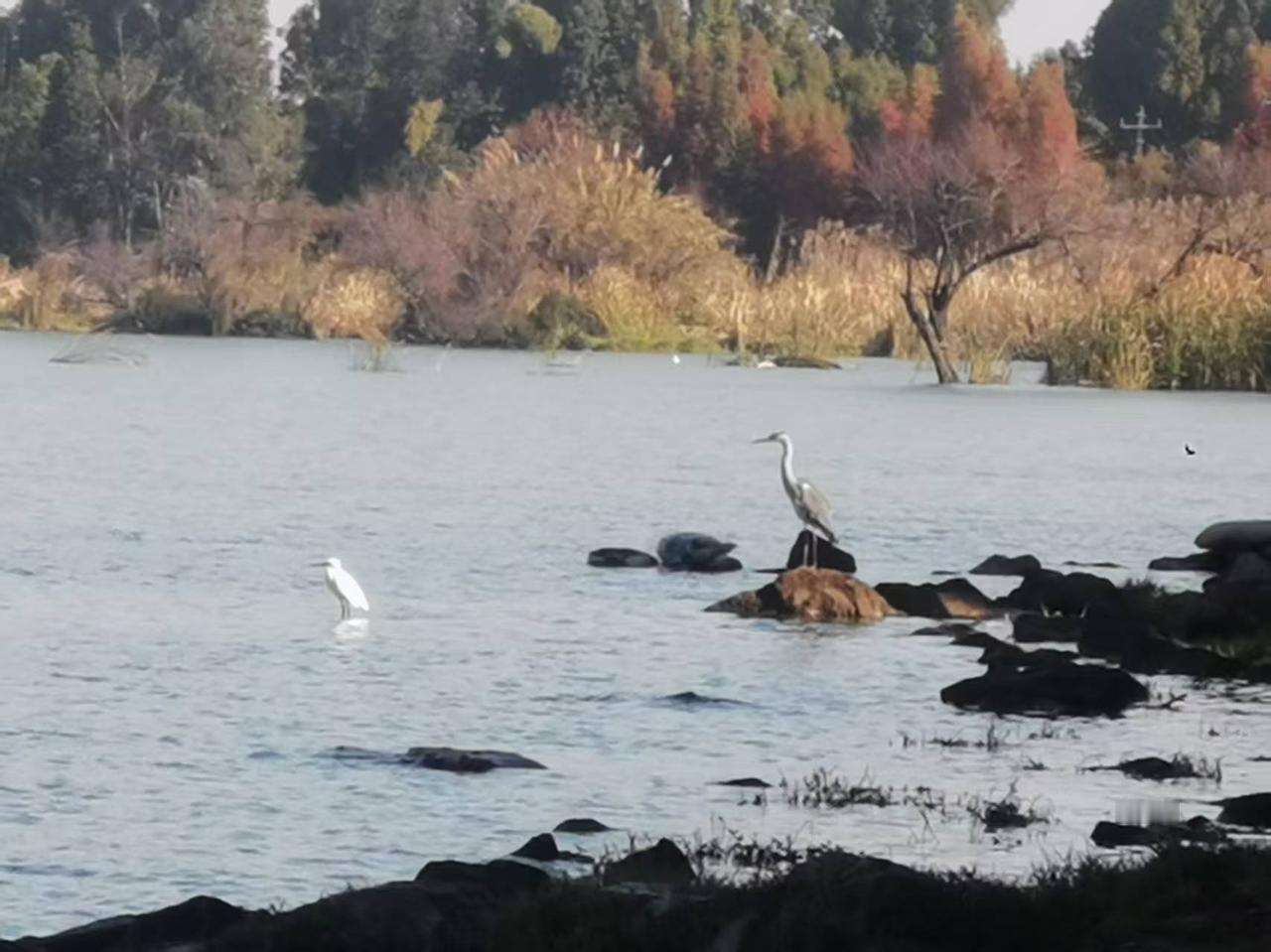 滇池边的憨老大、憨老二