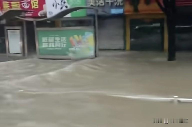 一场强降雨，让湛江市区被水浸成一片汪洋，给市民造成出行的困难和财产的损失。这种强