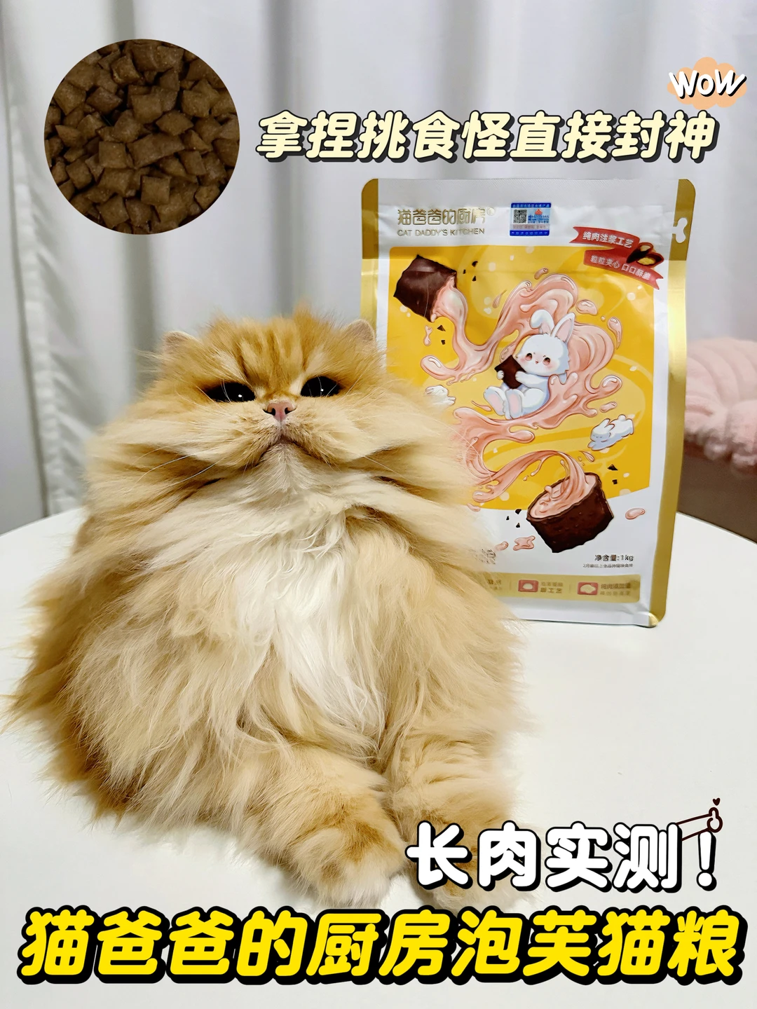 长肉实测！这波泡芙猫粮直接封神⁺⭒˚