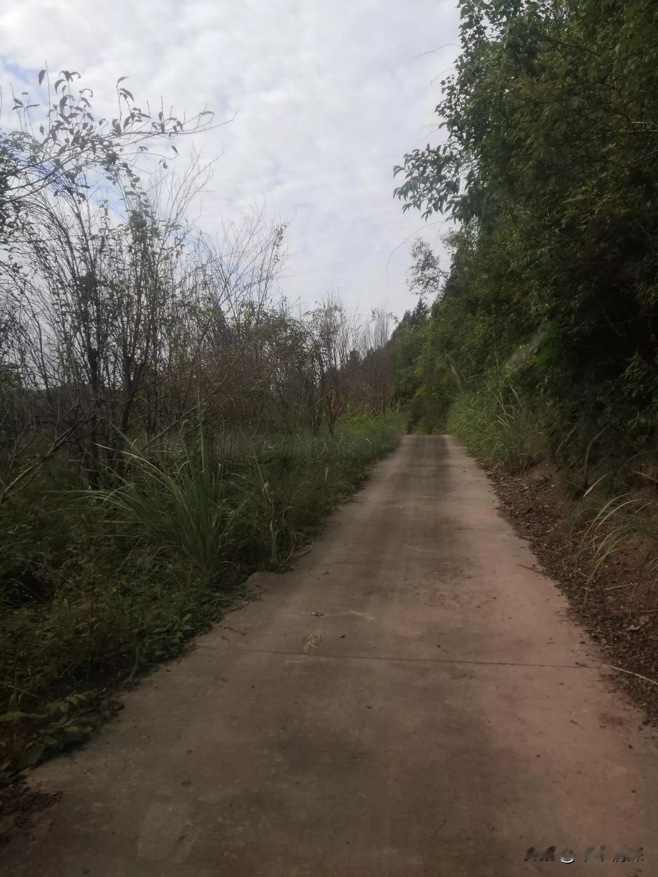 这是一张很美的照片，冬日的山村小路，图片中可以看见，在右手边是山峦和一条水泥路，