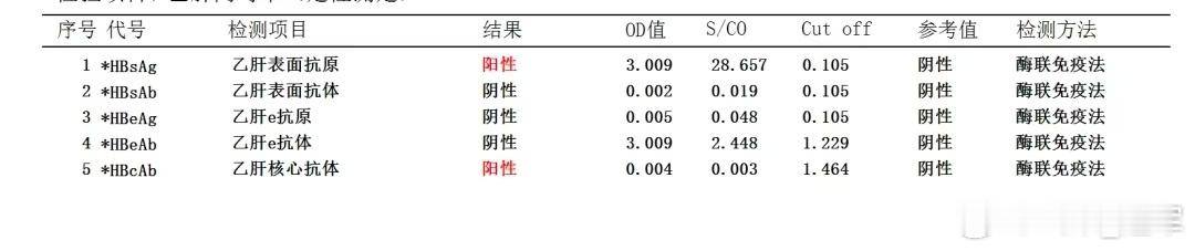 根据提供的乙肝两对半（乙肝五项）检测结果，显示为 “乙肝表面抗原（HBsAg）阳