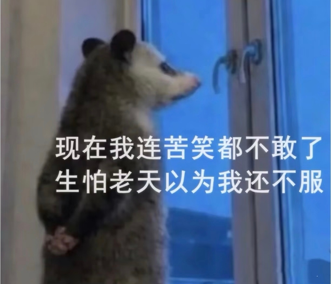 你仙回归只有三部剧，别人想做文章就总是拿三部剧的同事做文章。兰饼也同理，想搞你就
