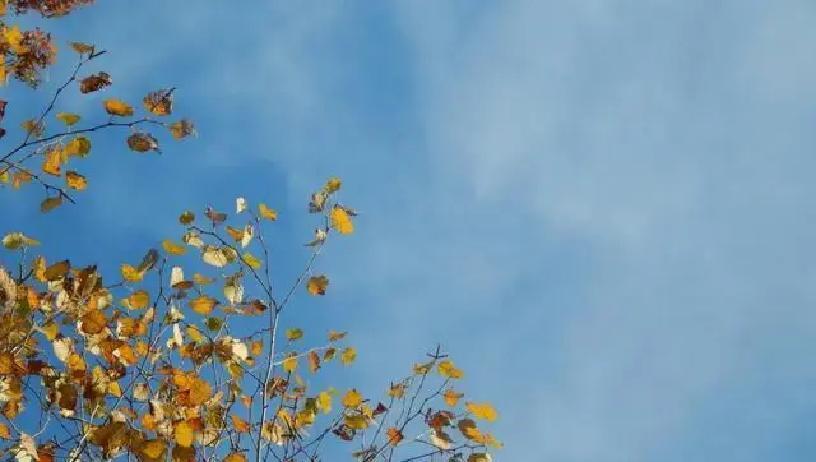 一个女人被前夫家暴了整整二十年，终于离婚了。结果儿子不但不心疼她，反而让她去照顾