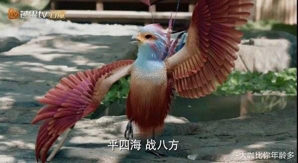 赵丽颖沈璃 zly赵丽颖与凤行 “河北那朵红玫瑰出淤泥而不染”比海更深的情话，大