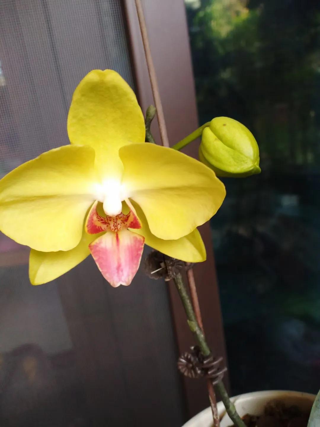 #上联：旭日出东海，求下联#皎月落西山