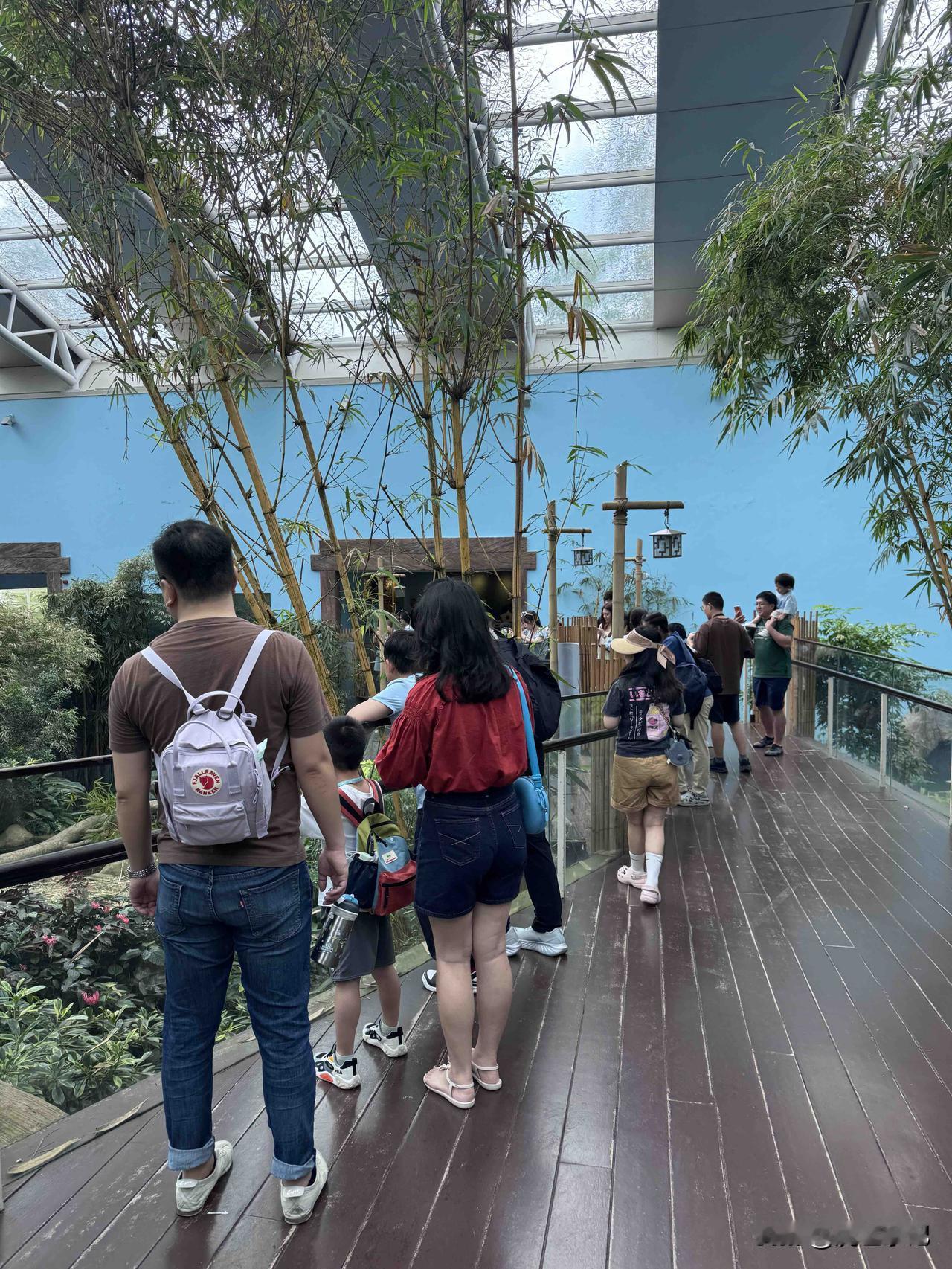 今日观察｜2026.02.19

今年的春节，新加坡初一、初二都是蒙蒙细雨。
今