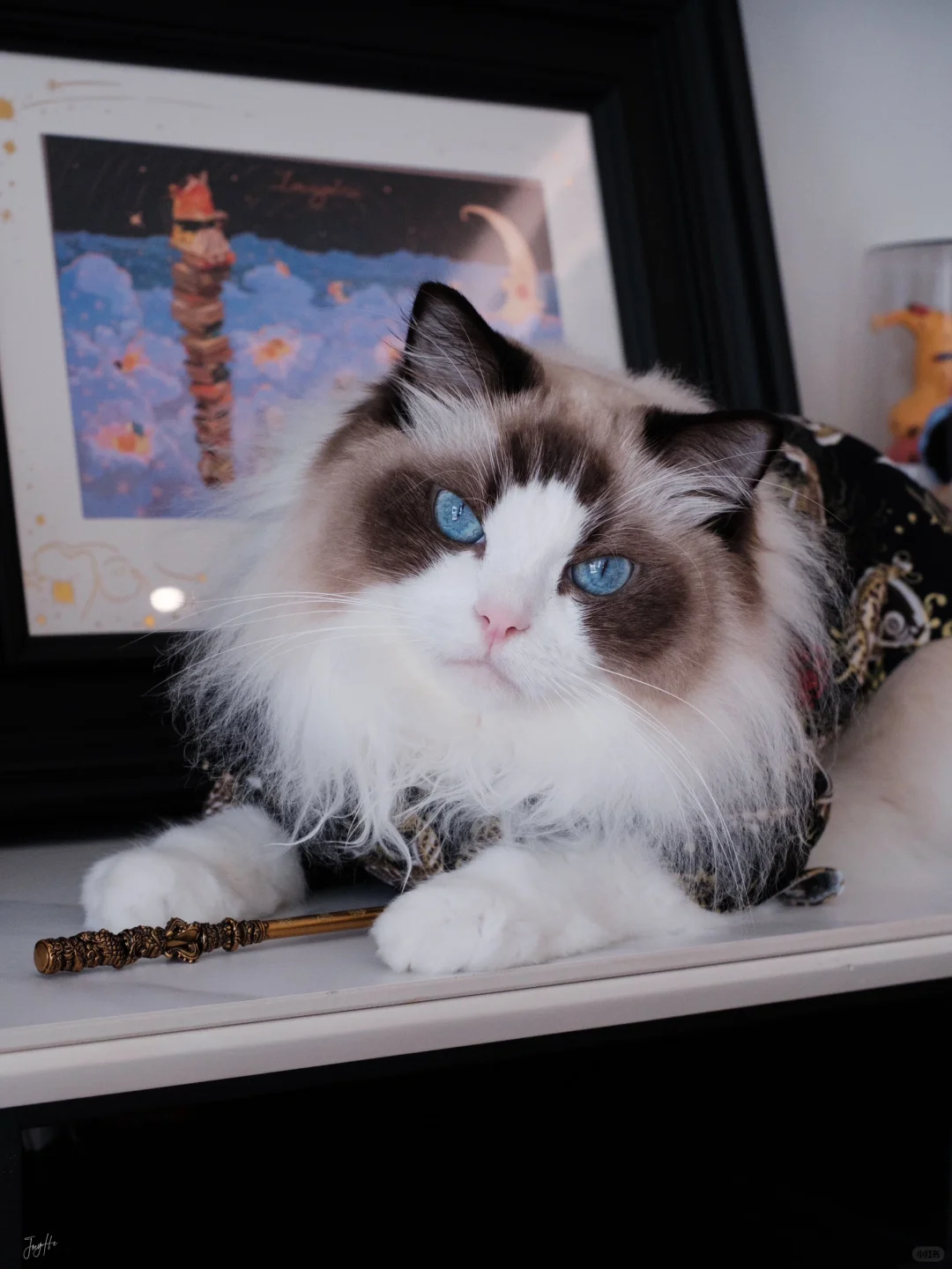 天命人！速速进来直面天命！