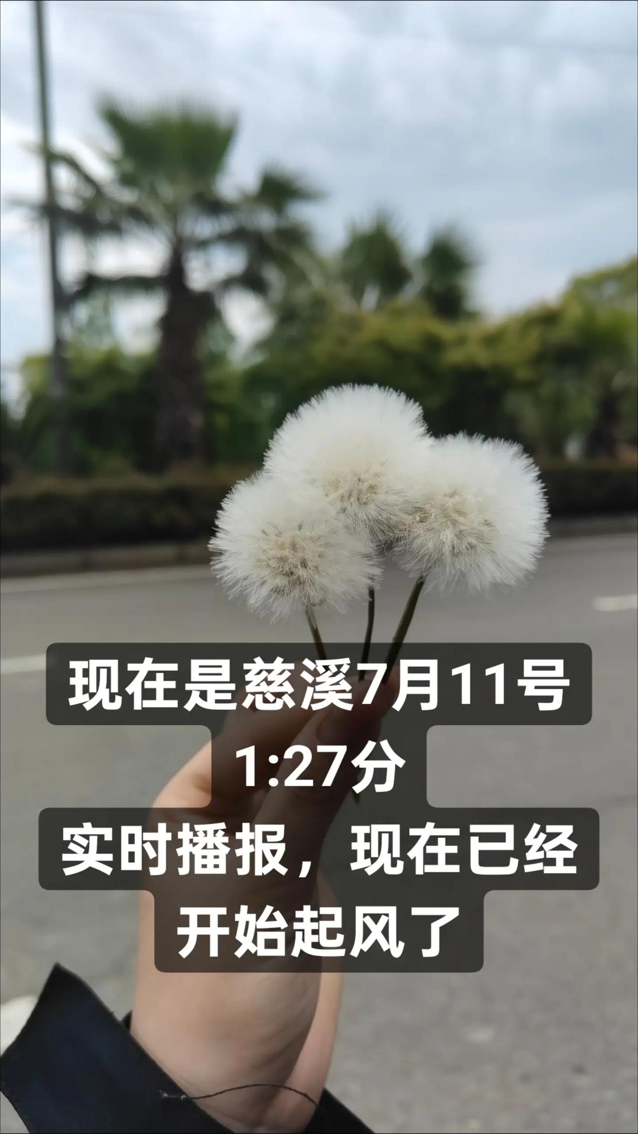 宁波起风了。台风越来越近了吗台风 巴威 宁波 起风