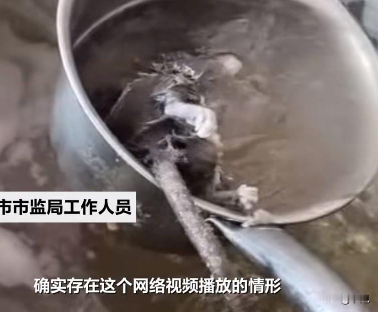 恶心！广西百色一家早餐店的顾客，手一抖，心都凉透了——汤勺里沉甸甸、黑乎乎的一团