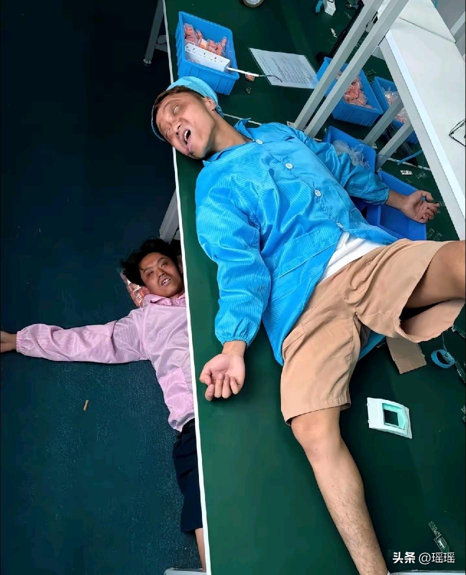 工厂真是这样的吗[奸笑]