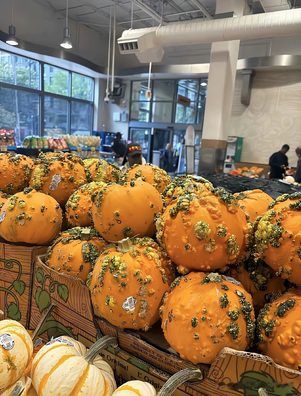 超市里这堆南瓜也太“叛逆”了，
橙黄底色上裹着黄绿相间的疙瘩，
像给圆滚滚的身子