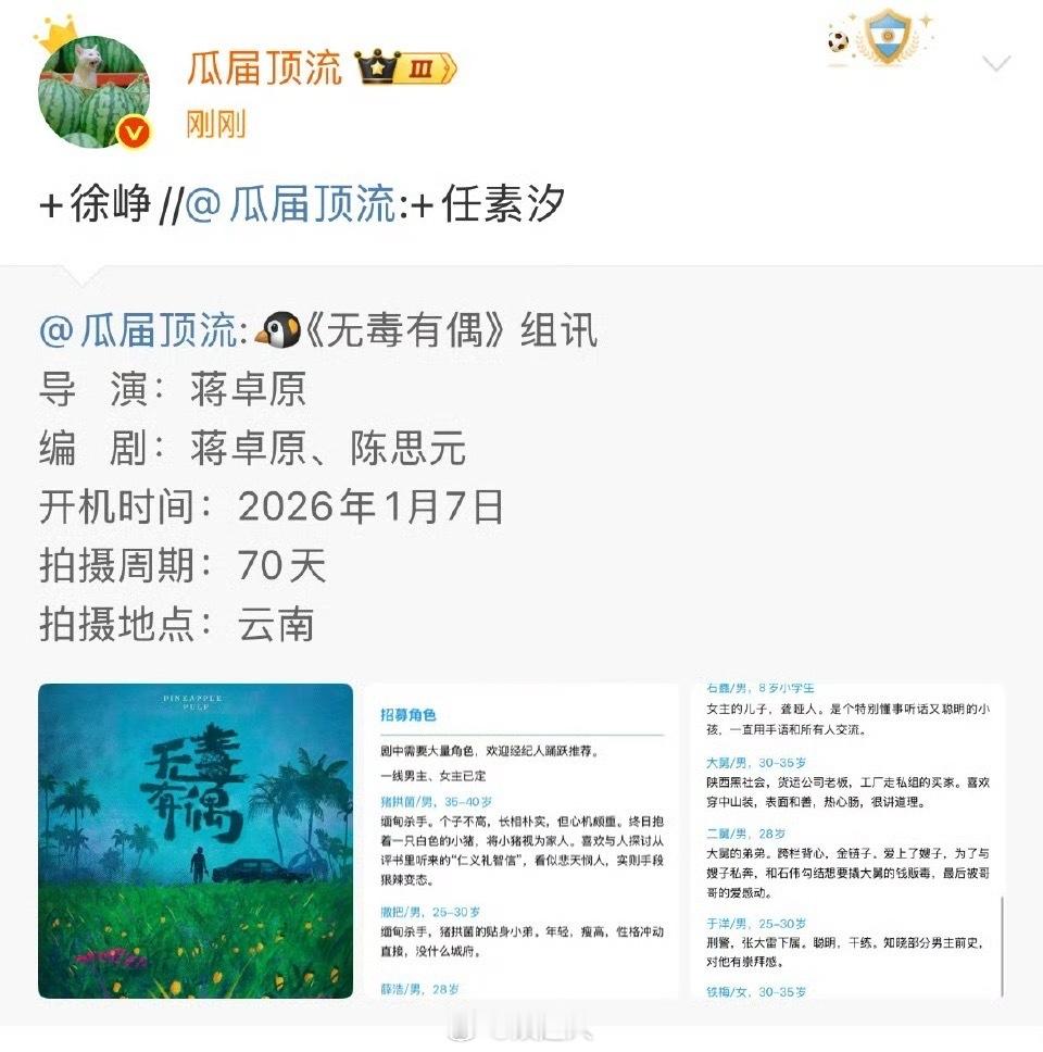 徐峥任素汐或合作无毒有偶徐峥或拍电视剧 徐峥任素汐或合作无毒有偶，大家期待吗 