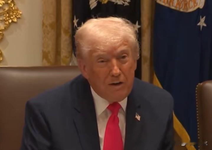 特朗普在内阁会议总结联邦政府工作时称:“那些敲诈我们的国家，包括盟友，他们多年来