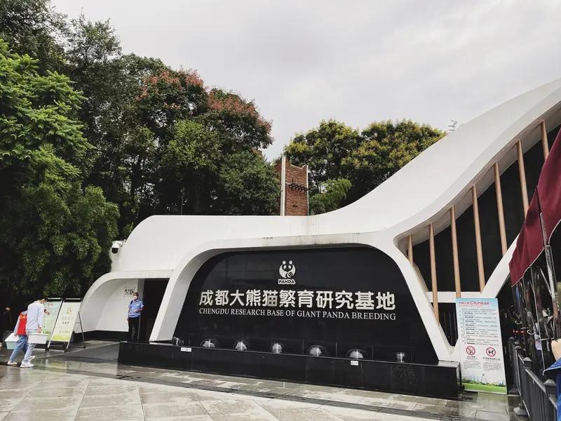 外国游客来成都玩，那可太有得玩了。首先一定要去大熊猫繁育研究基地，憨态可掬的大熊