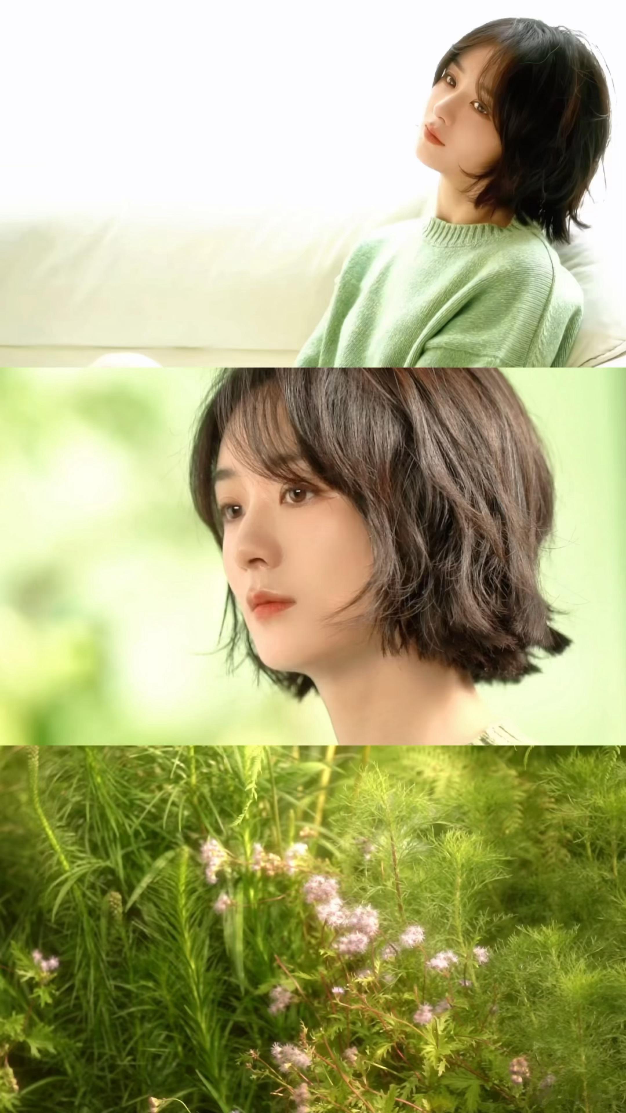 赵丽颖看晴窗竹影澹月松声   赵丽颖侧记live   颖宝的侧记 live，是生