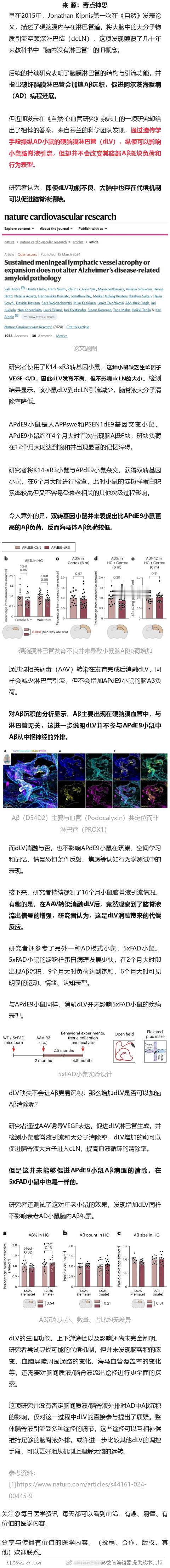 《自然·心血管研究》：刷新认知！脑膜淋巴管竟不影响Aβ清除？ ​​​