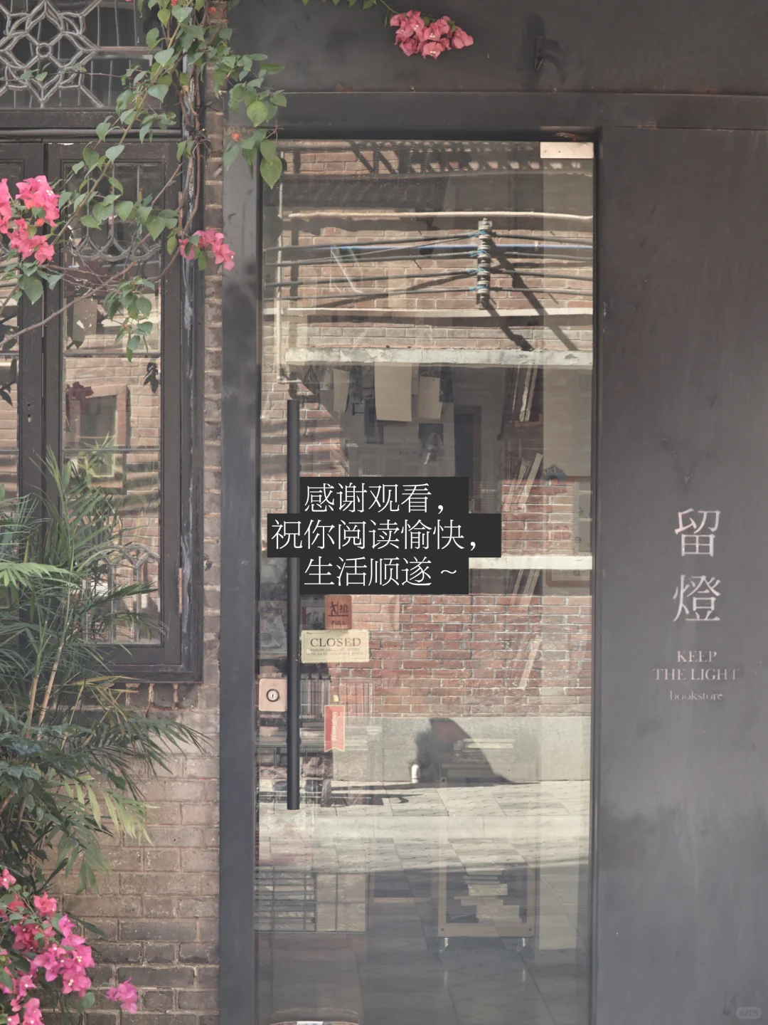 秋日的阳光让我产生「可以存活很久」的幻觉