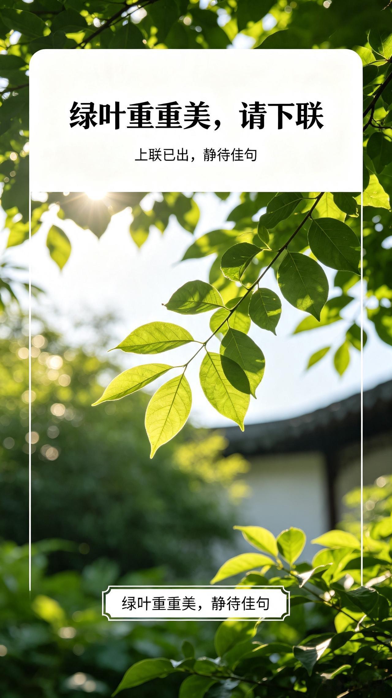 一花一叶皆诗意，一上一下见心境。简单五个字的上联，勾勒出夏日生机盎然的画卷，诚邀