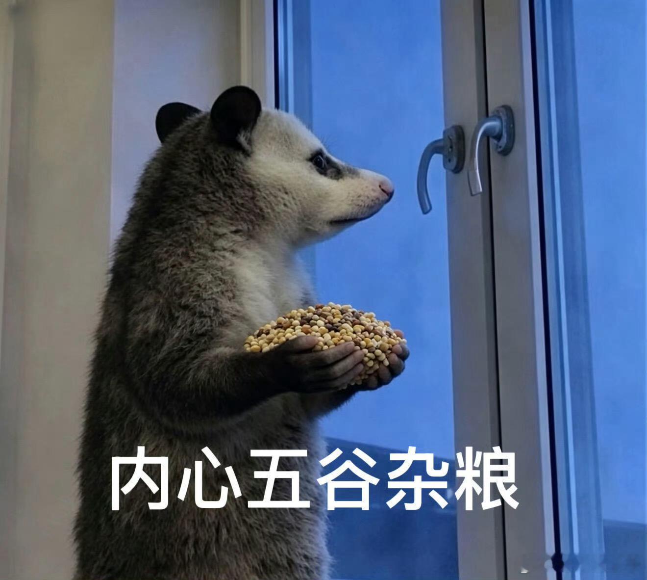 霍尊前女友陈露发无犯罪证明别走流程了，直接321！上链接！我赶时间 