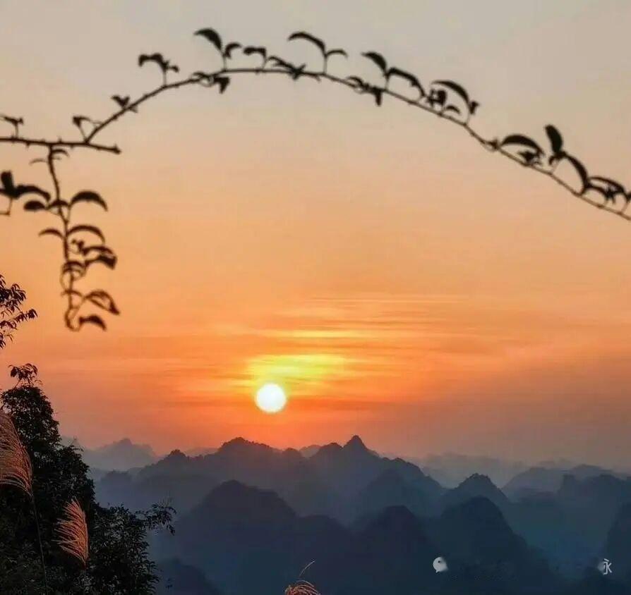 天净沙·晨景
晨阳初照青山，
群芳嘉树争欢。
丹枫红柿斗艳。
秋光无限，
醉了天