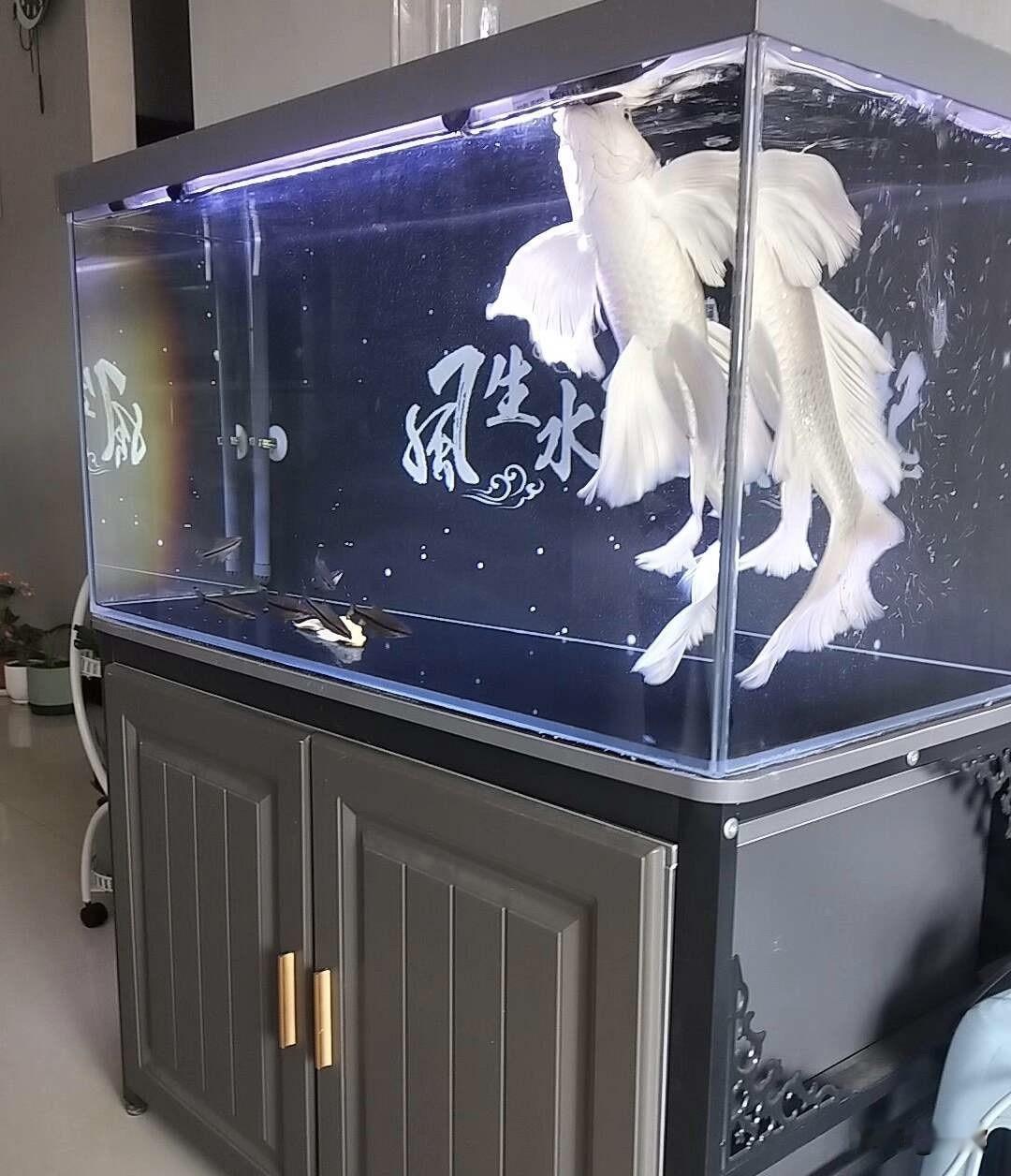兜里没钱，怎么养出“有钱人的气质”？

很多人觉得，有钱人的气质就是穿大牌、戴名