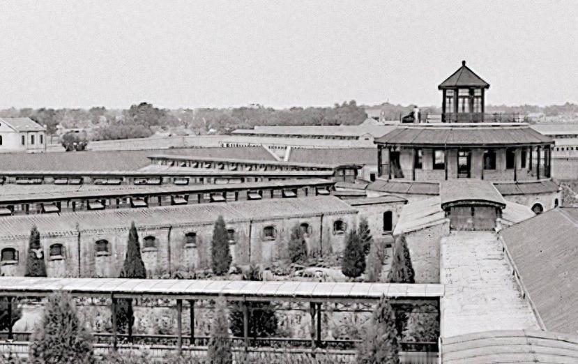 1959年11名战犯获特赦出狱，周总理邀请他们到家中，工作人员却未准备饭菜，发生