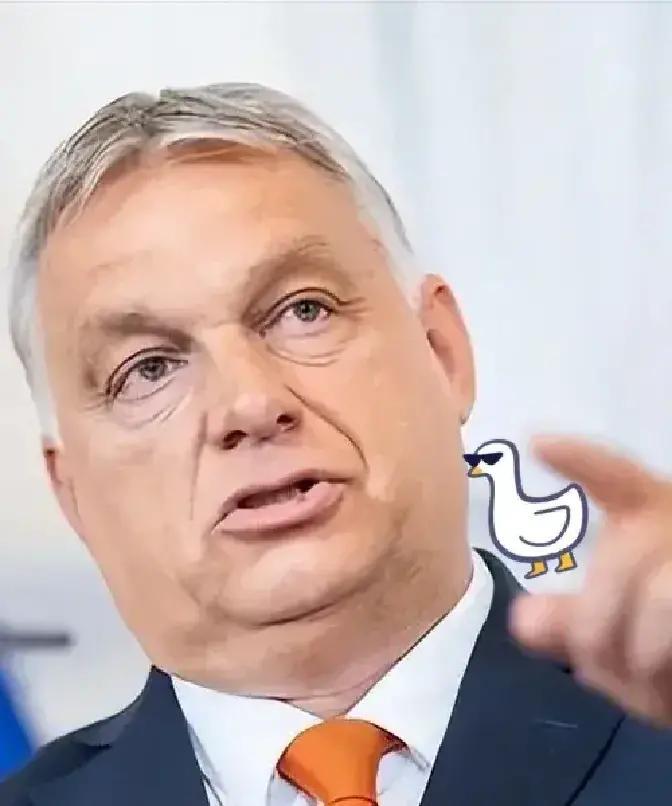 急报！布达佩斯刚放硬话，钱袋子不再替乌克兰埋单！
 
据最新报道，匈牙利总理欧尔