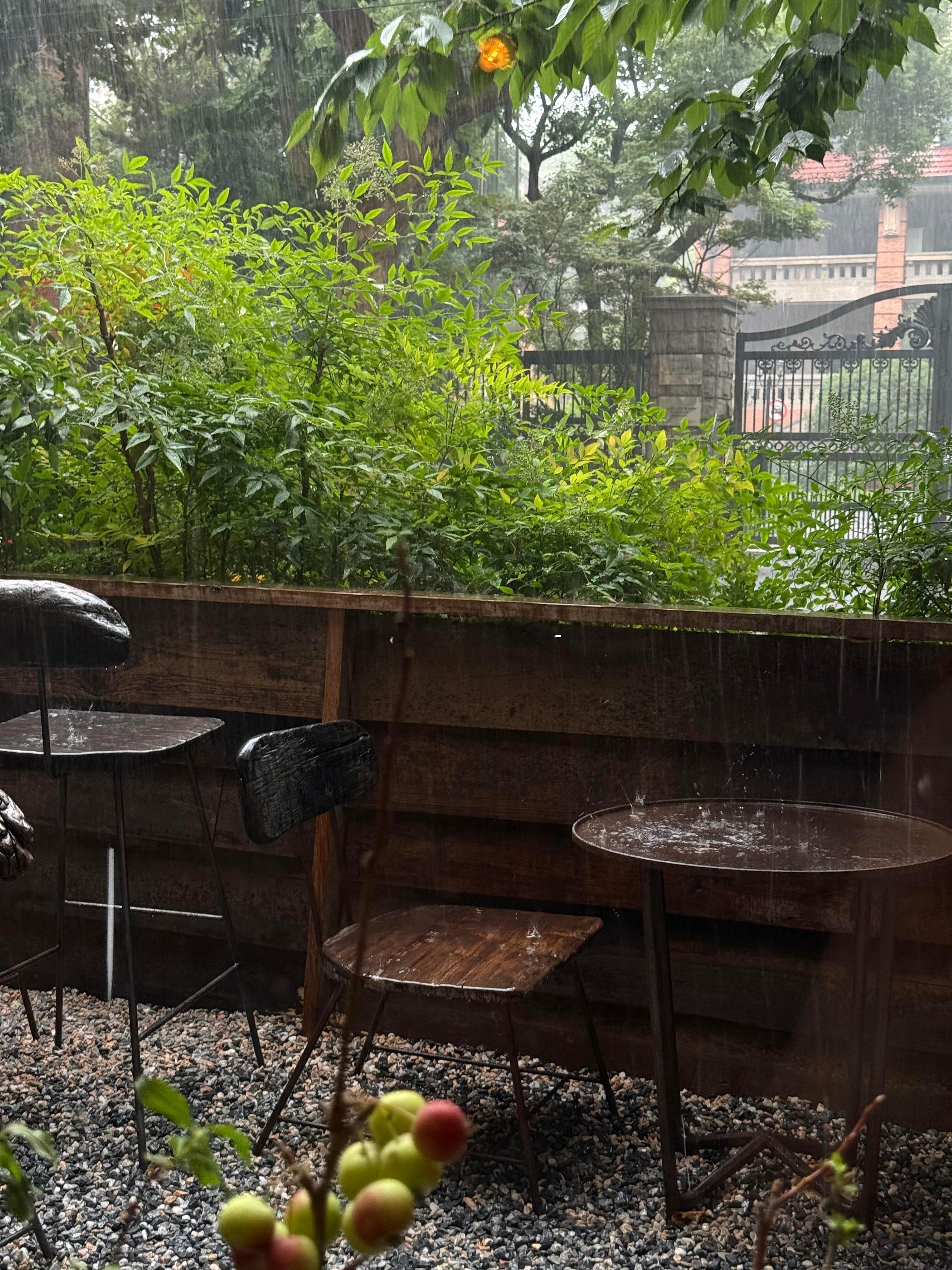 七月的雨总是来得猝不及防 躲雨的时候随手拍了几张，雨天的小院安安静静的，看着很治