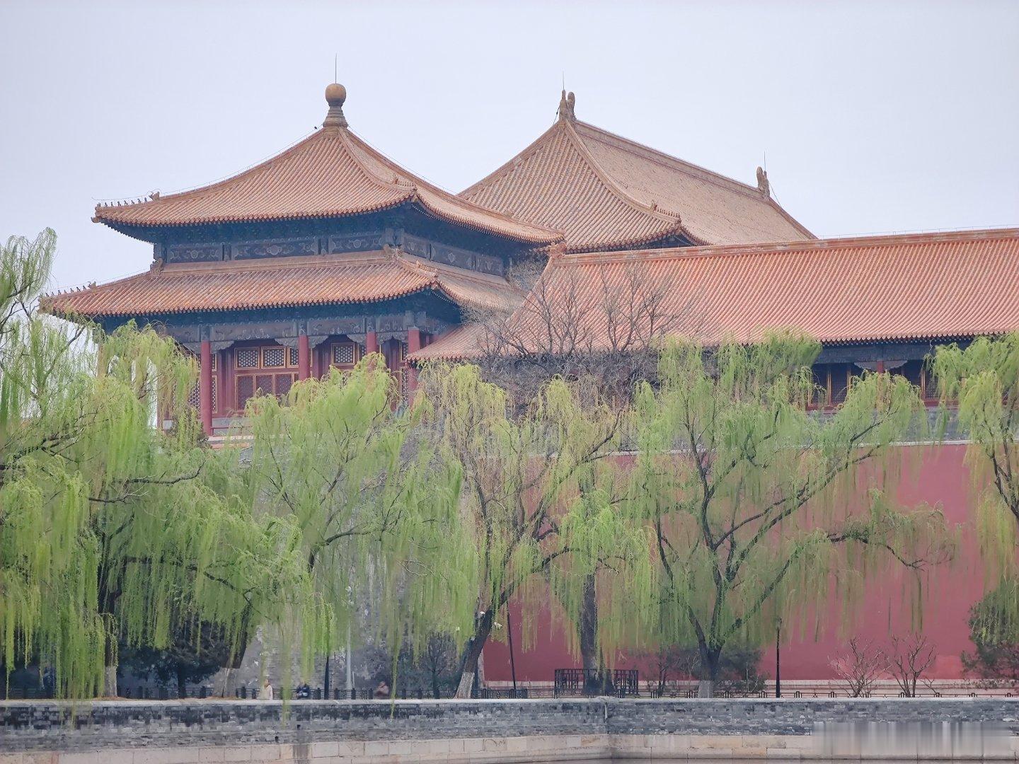 最是一年春好处，绝胜烟柳满皇都，紫禁城外的春色  摄影​​​
