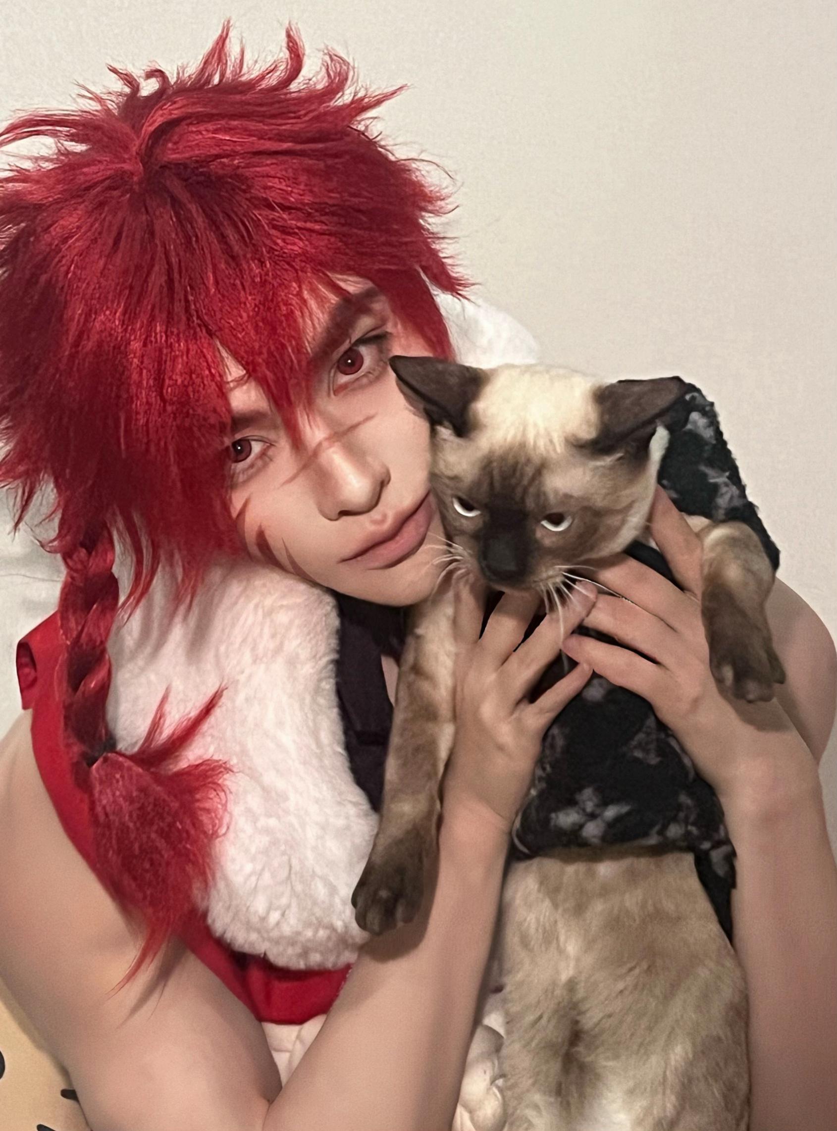 🐯咱俩好几天某亲嘴咧🐱。