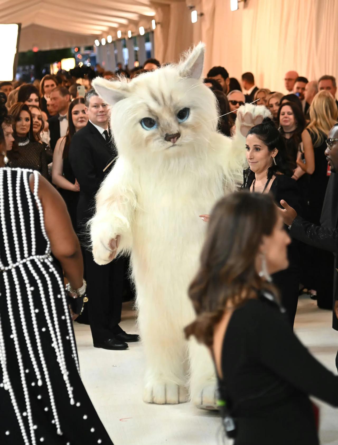 2023年Met Gala“灾难级”毯星，非莱托莫属！

当地时间5月1日晚，以