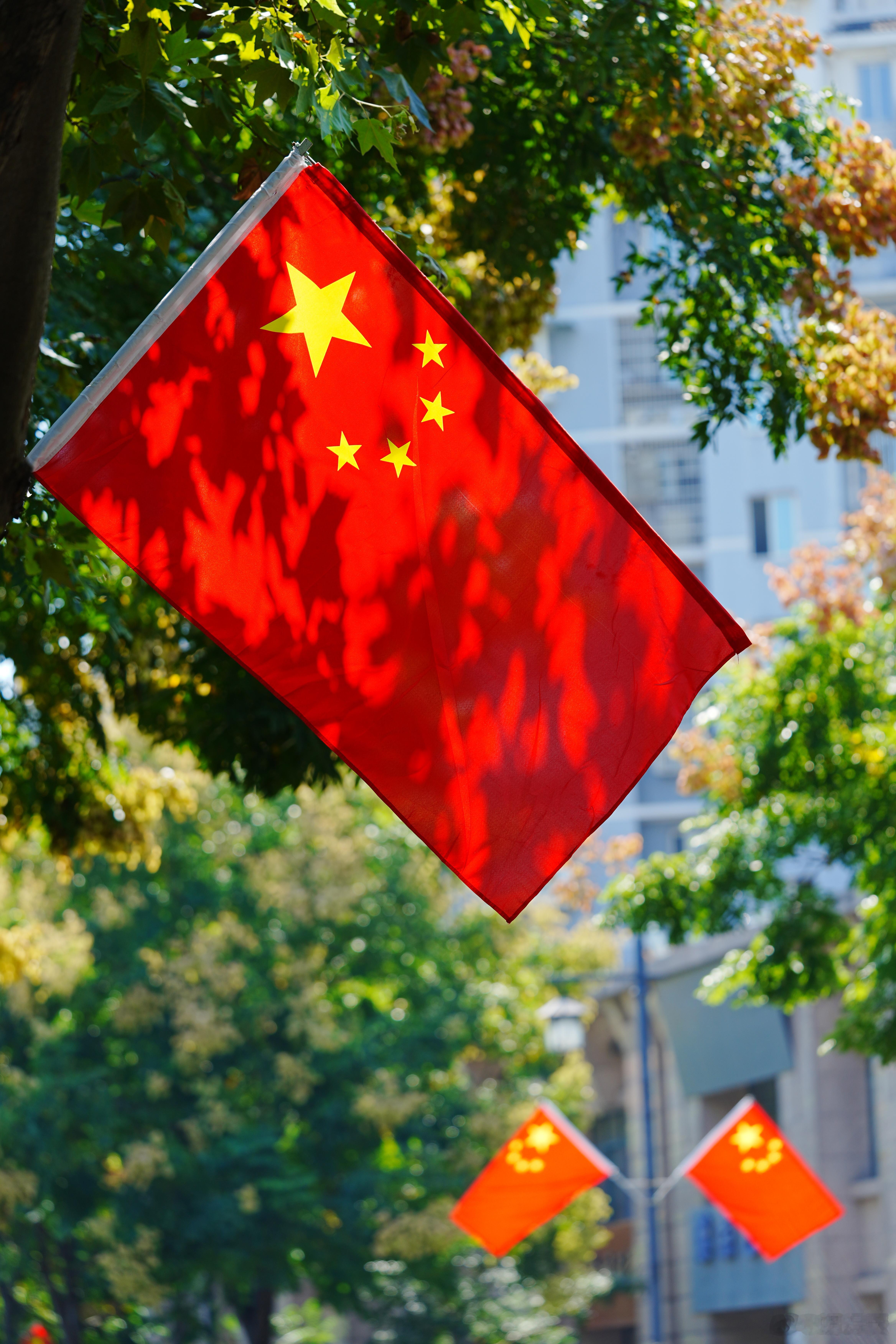 国庆结束啦～上班啦蜗的摄影日记 ​​​