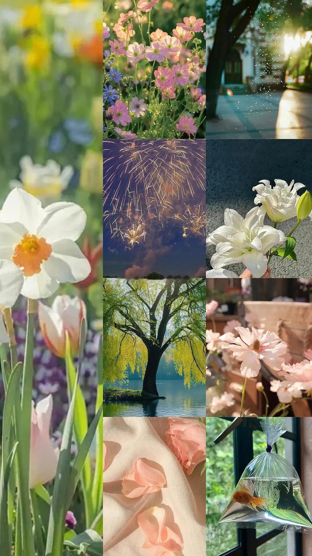 今日🈚投稿，大家早早早鸭～周末愉快