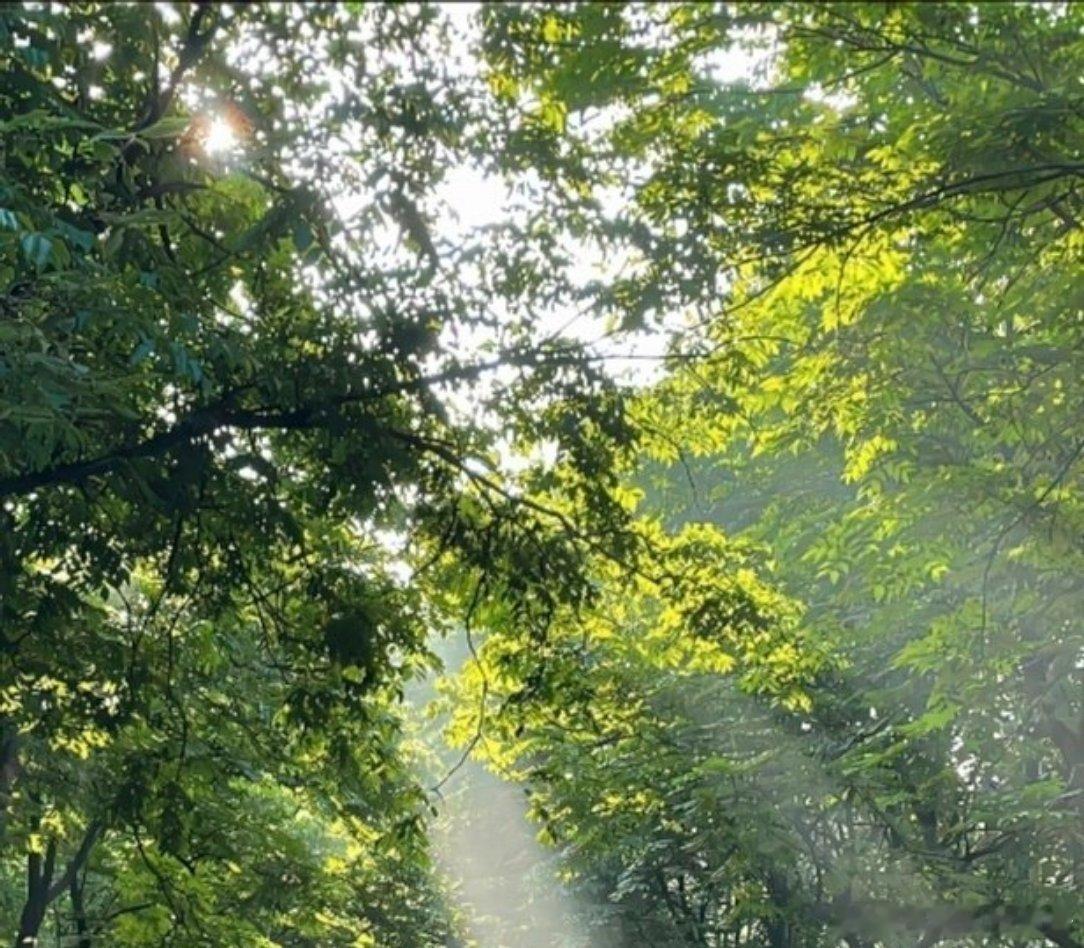 每日一善每日一善  做个内心阳光的人，不忧伤，不心急，坚强，向上，靠近阳光，成为