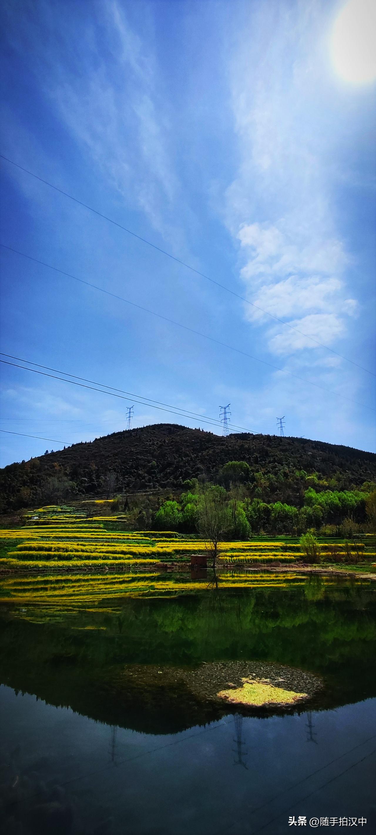 春日生活打卡季大地阳光灿烂，池塘水面如镜。晌午的太阳直射而下，所有的生命都被激发