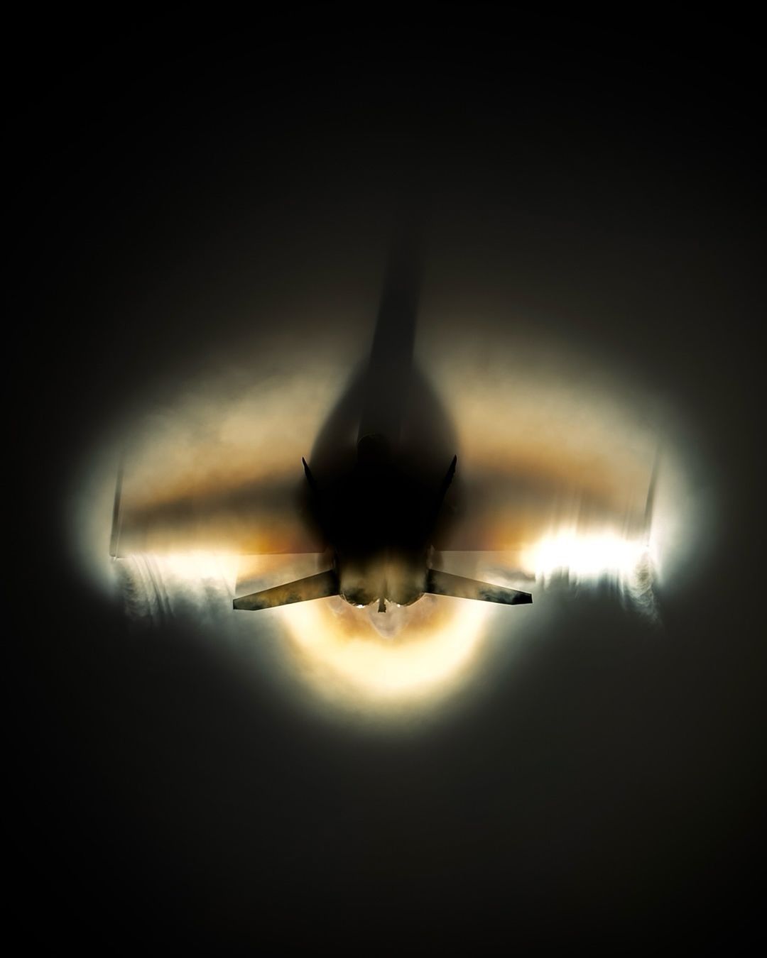 毛茸茸的大黄蜂 ​​​