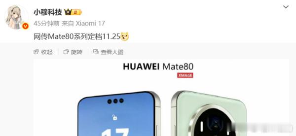 估计还是三孔mate60，mate70都是三孔一加15设计有点意思 
