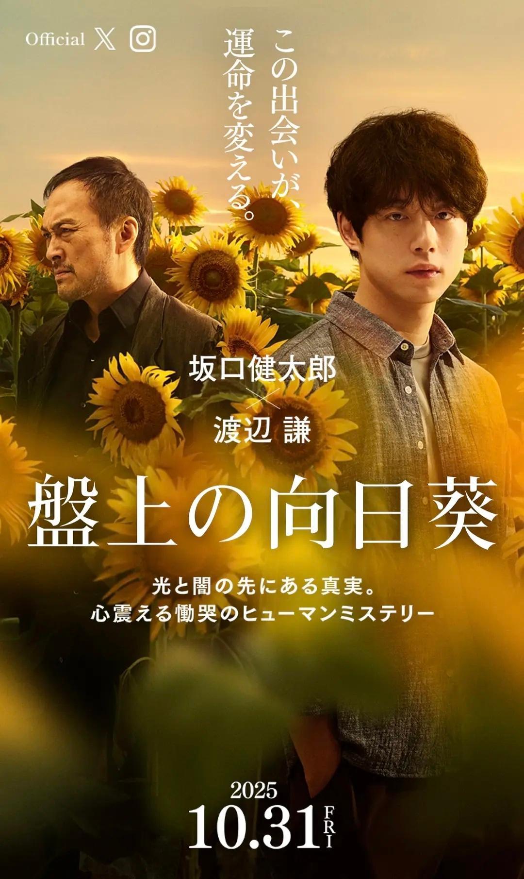 【日影】《棋盘上的向日葵》2025坂口健太郎渡边谦