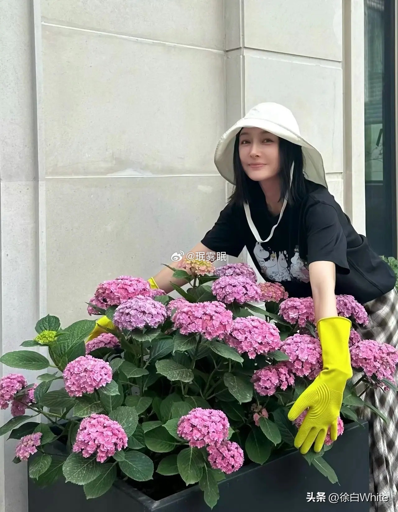 秦岚发的live图背景音疑似传出魏大勋声音，还提及两个月，瞬间引发热议。事后她火