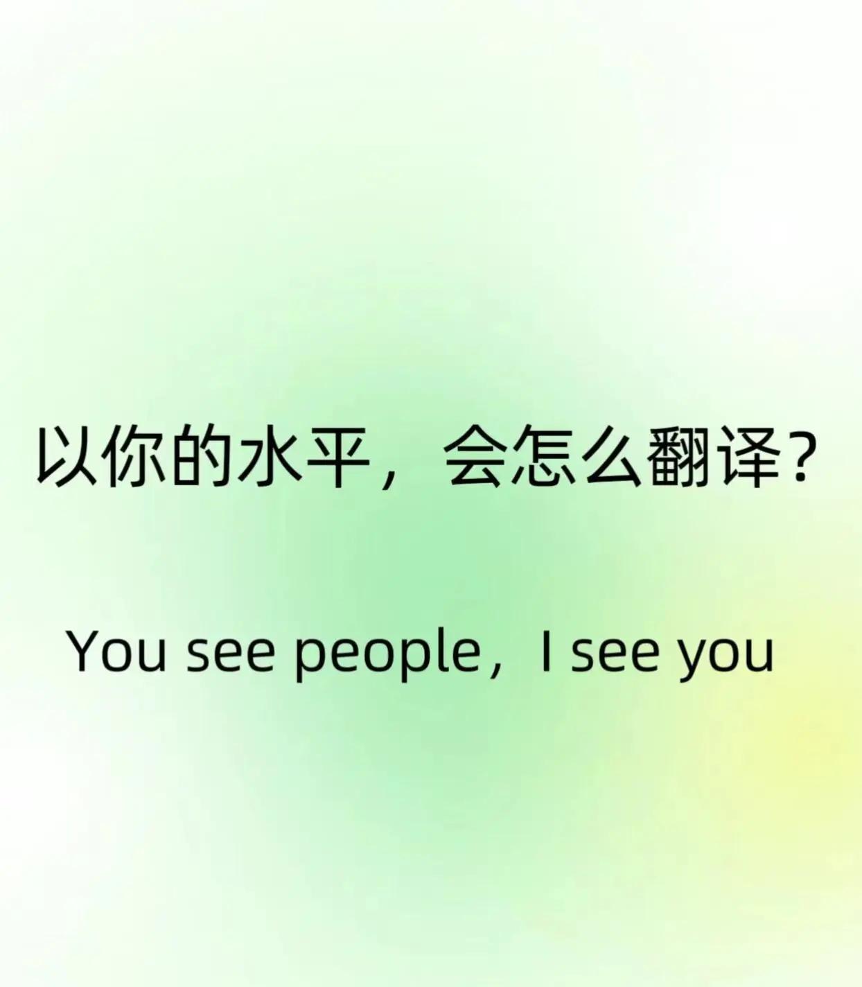 以你的英文水平和文采，会怎么翻译
You see people, I see y