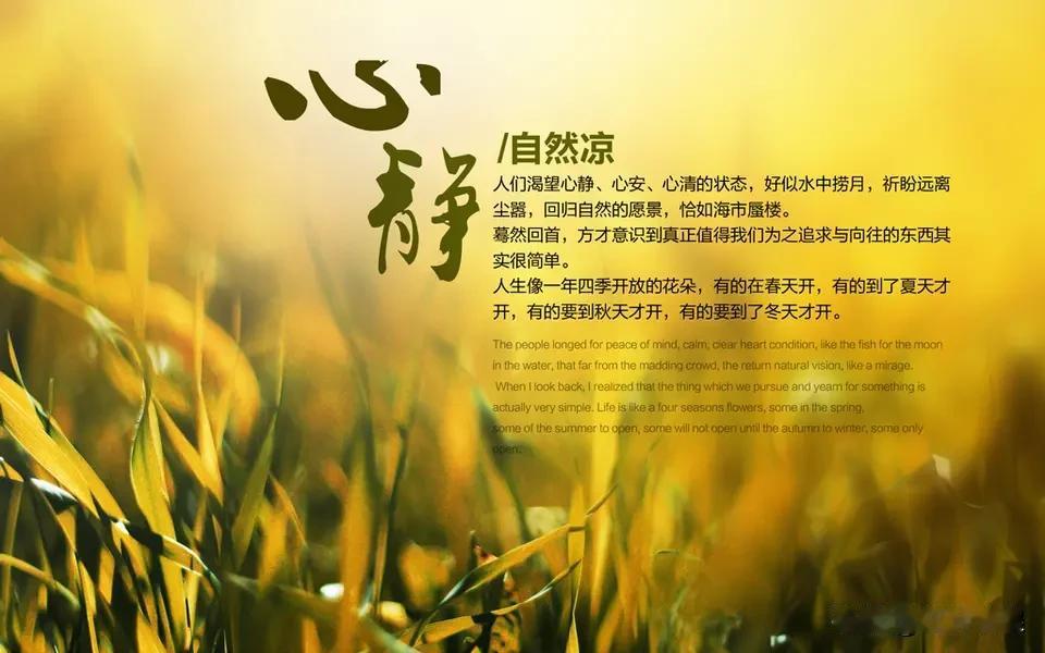 活的是心情，过的是日子。有的人活得累，是因为牵扯的东西太多。减少了，放弃了，天气