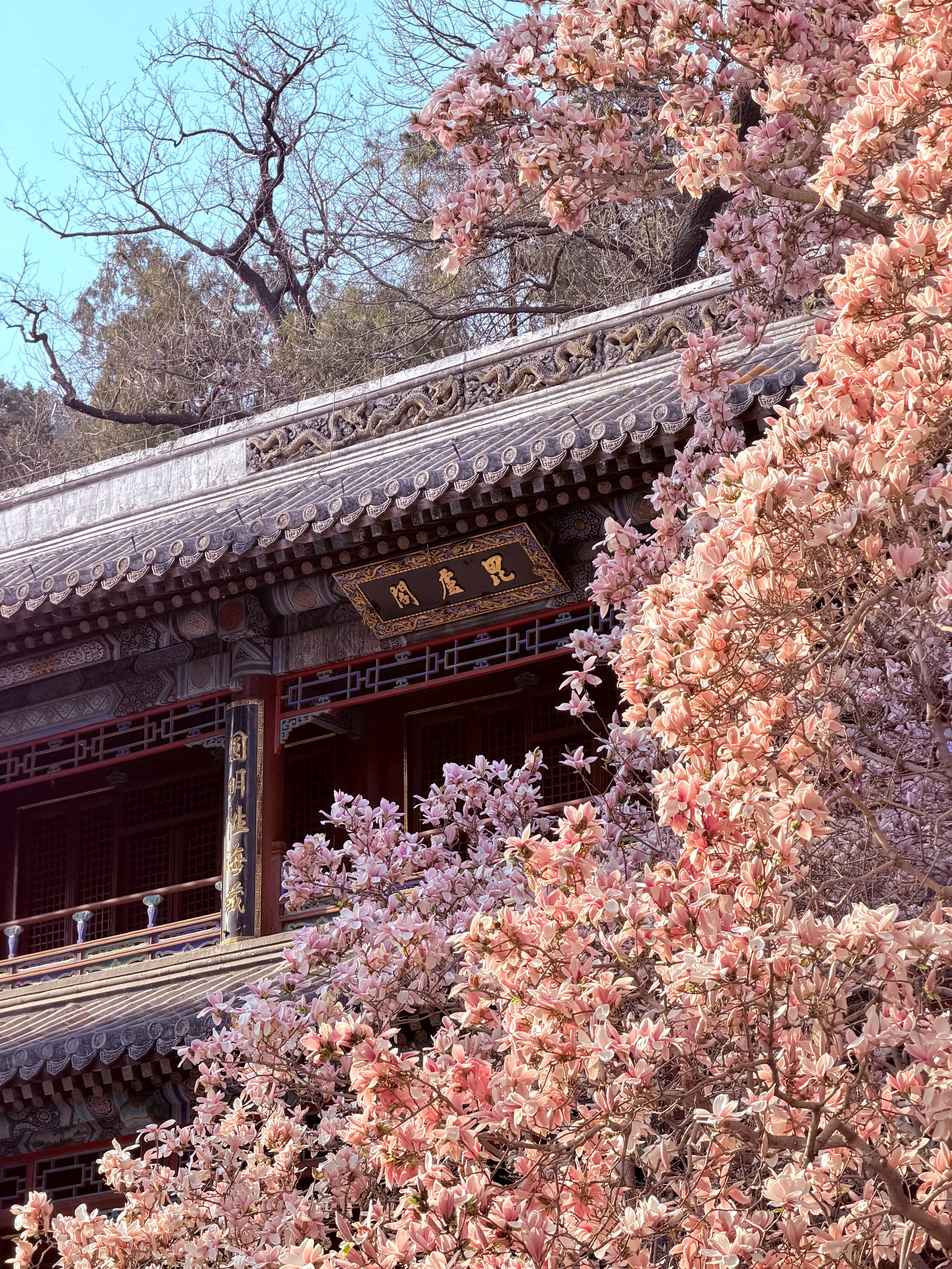 四月第一天终于打卡了鼎鼎大名的潭柘寺去年就一直很想来，因为路程太远拖到了现在，还