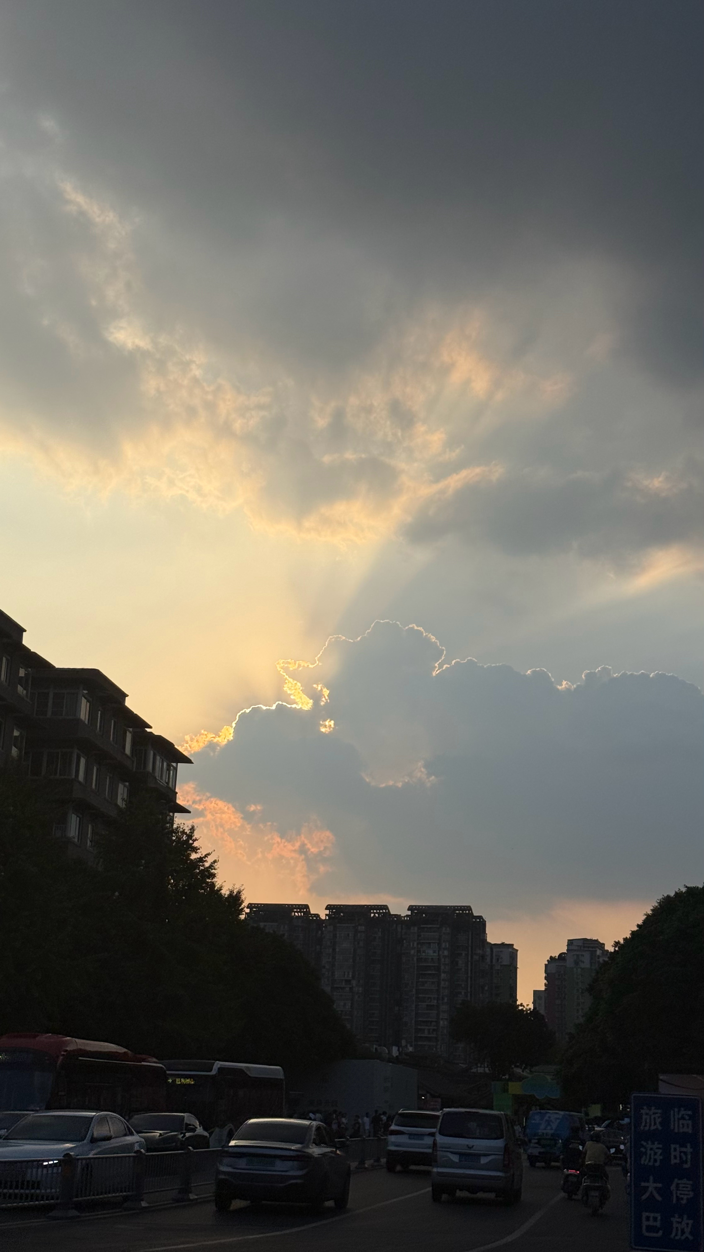 夏天 不会再来了