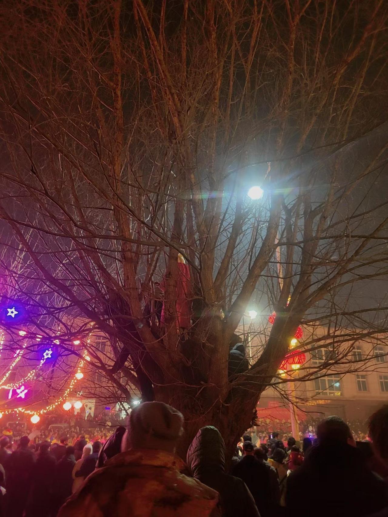 今夜瓦房店复州城元宵节，想起小时候一样爬树看节目