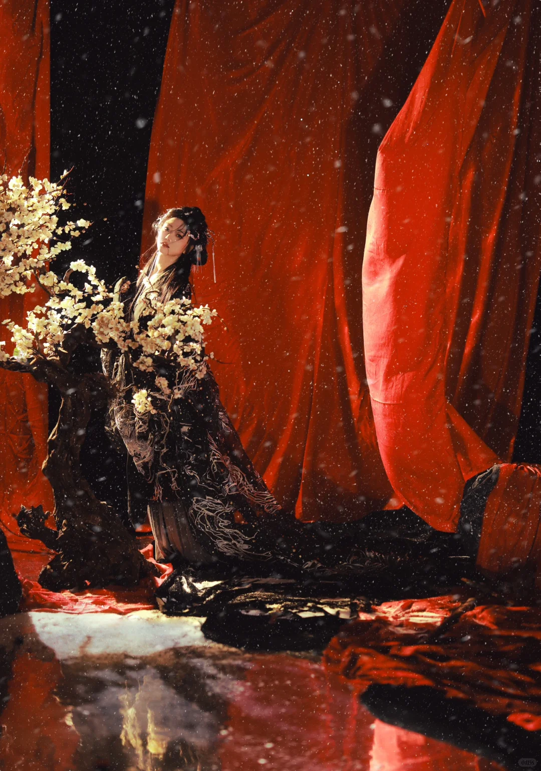 Chinese Tradition Red｜雪中血